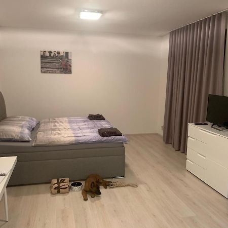 Modern Apartment In The City Center Plzen Luaran gambar